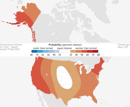 Sauna of a Summer 001