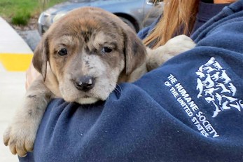 Hurricane Harvey 001