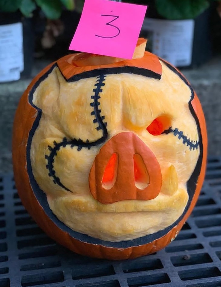 CH Pumpkins 2018 002