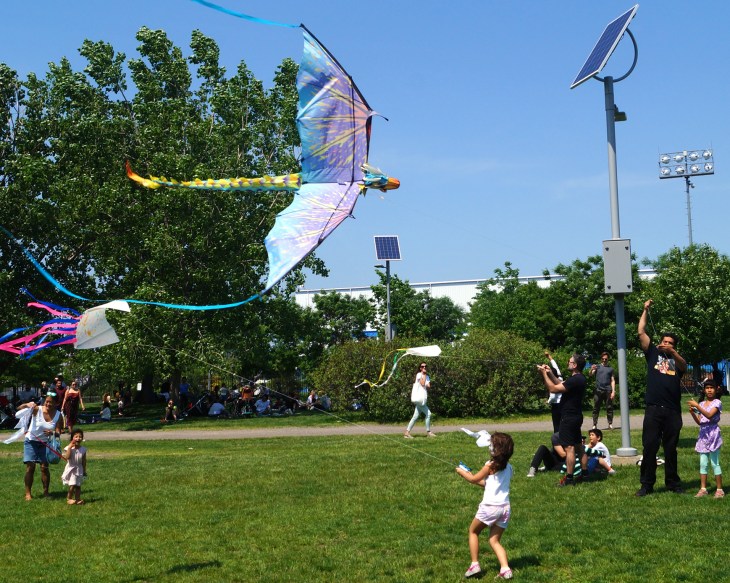 PS132 KF 2019 002 cu