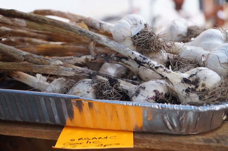 GmBID FMkt 2019 003_web